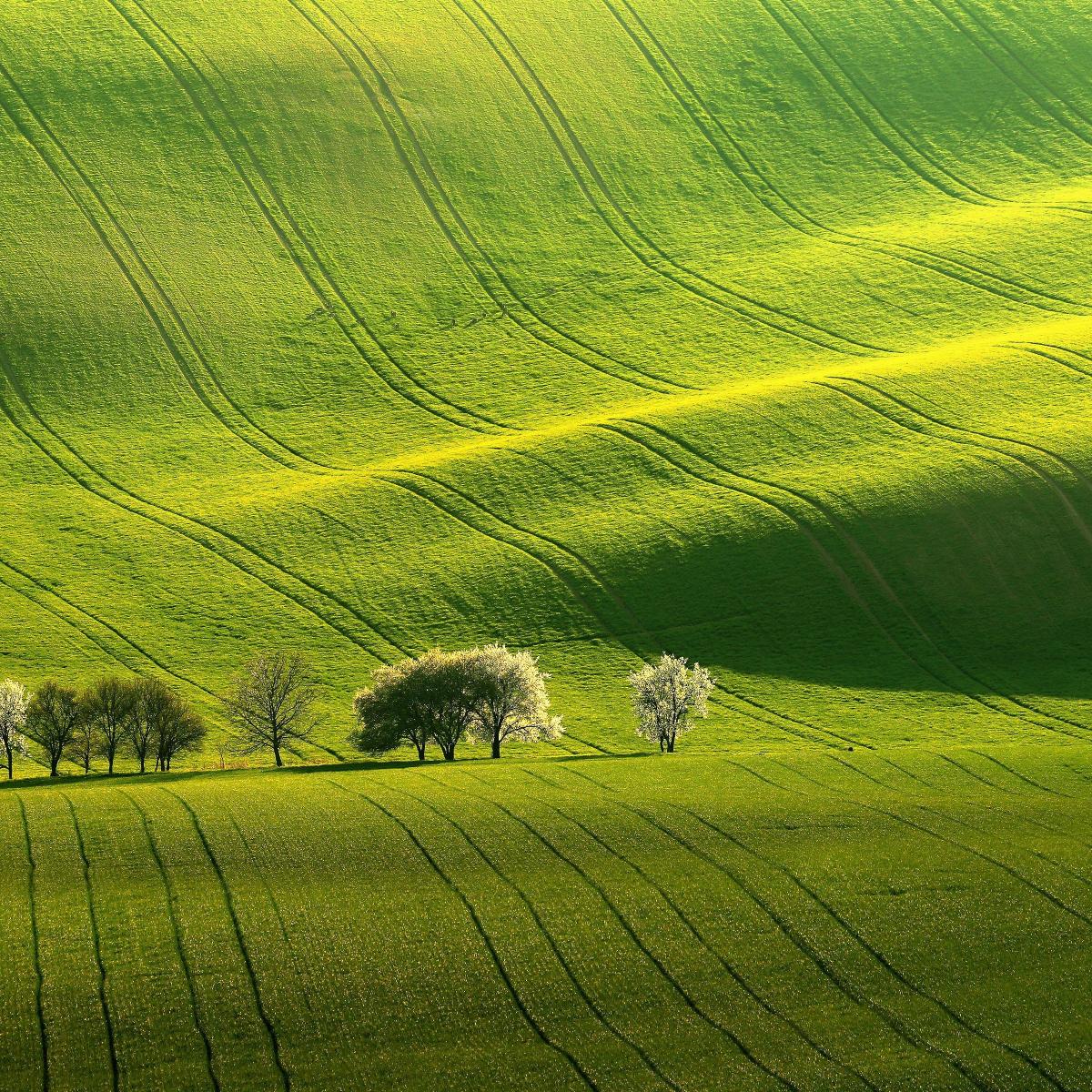 Rolling Green Hills - Related Dope Wallpapers wallpaper