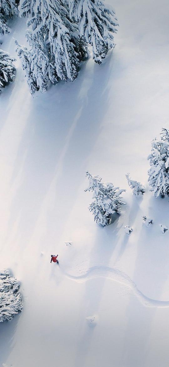 Snowboarder in Winter Forest - Related 4K Wallpapers wallpaper