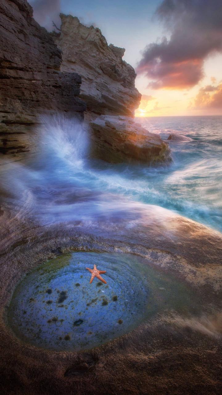 Starfish Tide Pool Sunset - Related StockWalls wallpaper