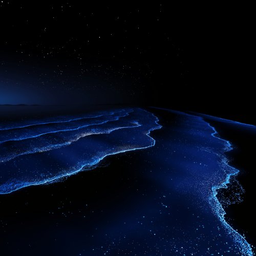 Starlit Ocean Huawei WallpaperS