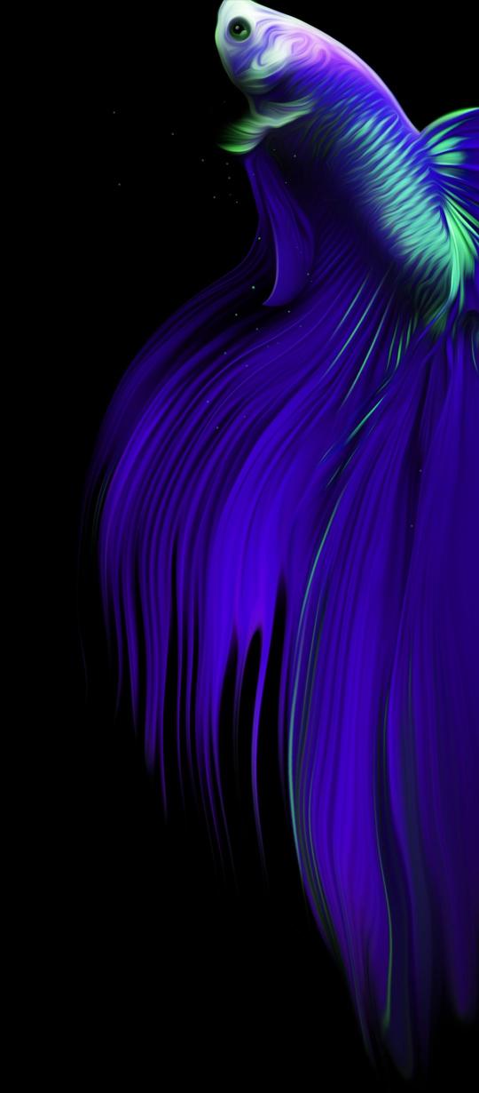 Vibrant Betta Fish Flow - Related StockWalls wallpaper