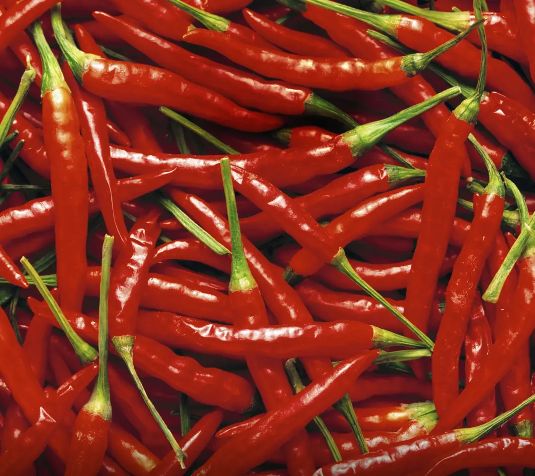Vibrant Red Chili Peppers - Related StockWalls wallpaper