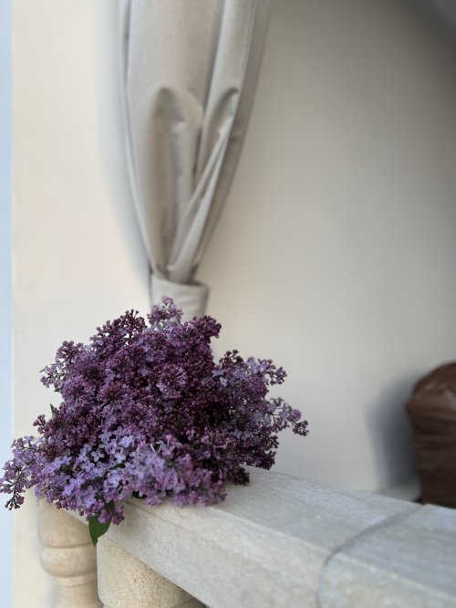 Lilac Bouquet Still Life