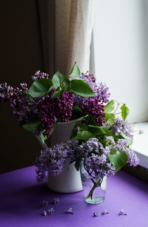 Lilac Still Life - Related 4K Wallpapers wallpaper